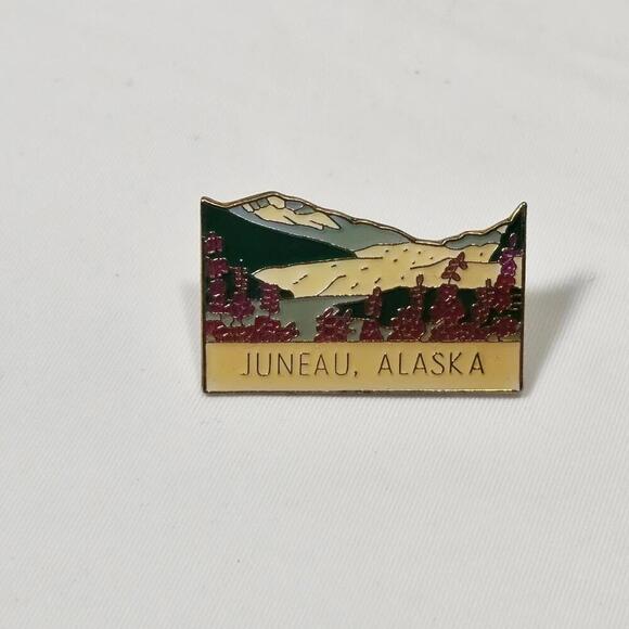 Other - Vintage Resin Over Enamel Juneau Alaksa Ak Travel Pin Flowers Views